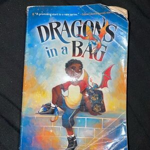 Dragons in a Bag Paperback Book